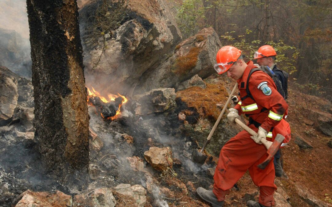 Operation PEREGRINE and the Okanagan Mountain Fire of 2003